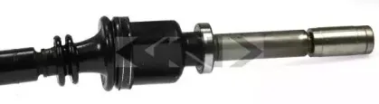 spidan-22335