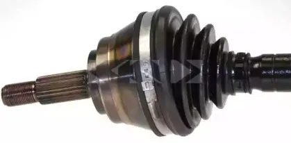 spidan-22341