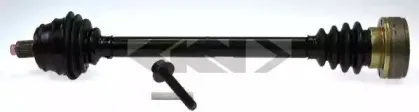 spidan-22508