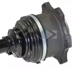 spidan-22678