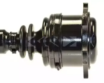 spidan-22679