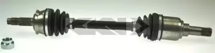 spidan-22844