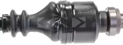 spidan-22872