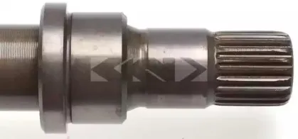 spidan-23278
