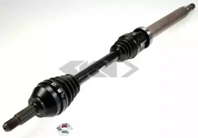 spidan-23299