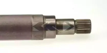spidan-23299