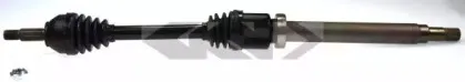 spidan-23301