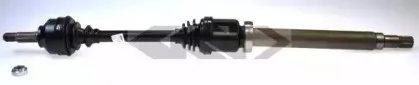 spidan-23303