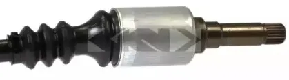 spidan-23347