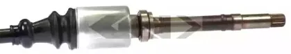 spidan-23351