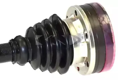 spidan-23544