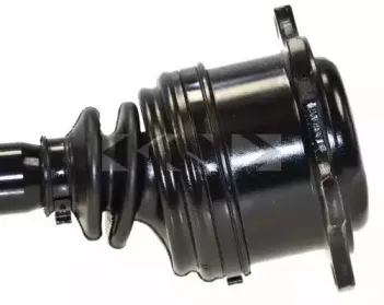 spidan-23616