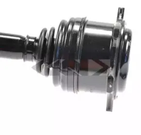 spidan-23649