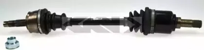 spidan-23784