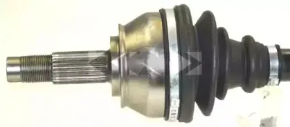 spidan-23788