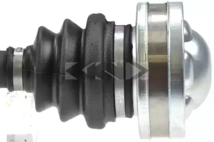 spidan-23851