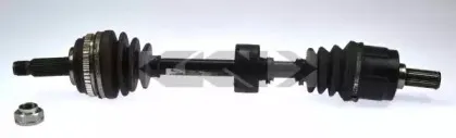 spidan-23879
