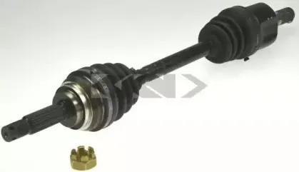 spidan-23901