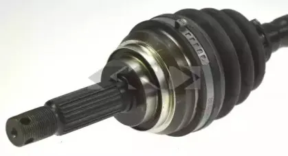 spidan-23901