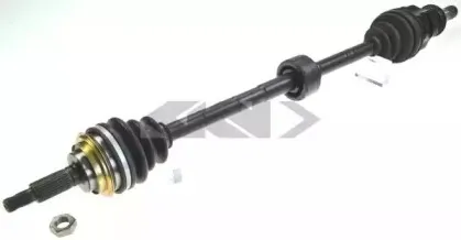 spidan-23922