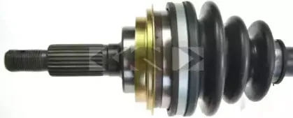 spidan-23922