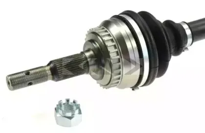 spidan-24063