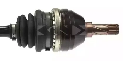 spidan-24072