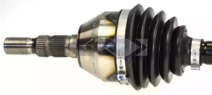 spidan-24078
