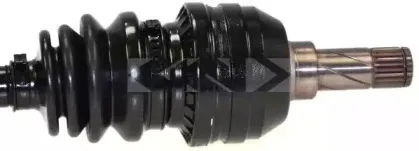 spidan-24079