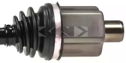spidan-24088