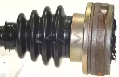 spidan-24091