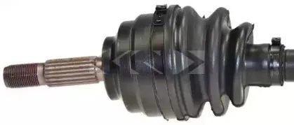 spidan-24119