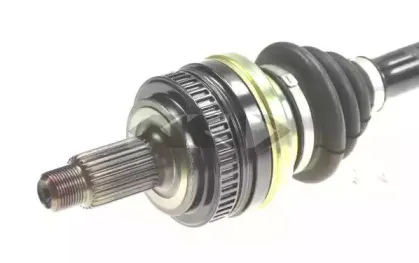 spidan-24125