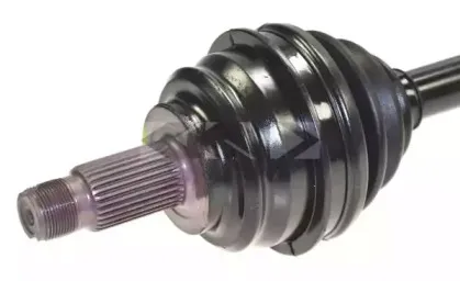 spidan-24148