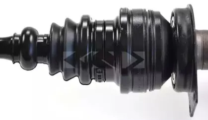 spidan-24153