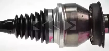 spidan-24155