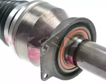 spidan-24155