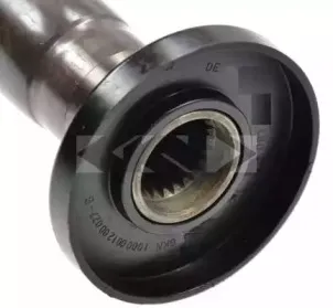 spidan-24155