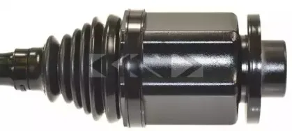 spidan-24156