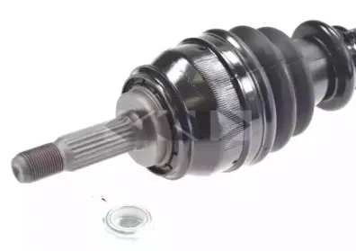 spidan-24162