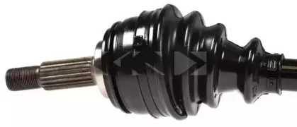 spidan-24166