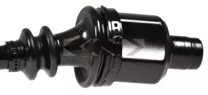 spidan-24166