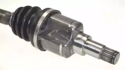 spidan-24184