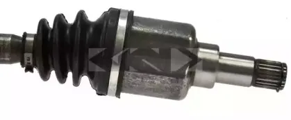 spidan-24190