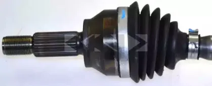 spidan-24191