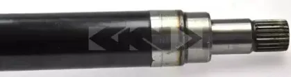 spidan-24191