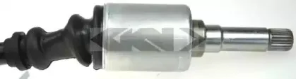 spidan-24195