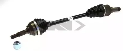 spidan-24250