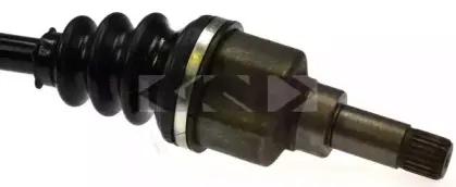 spidan-24250