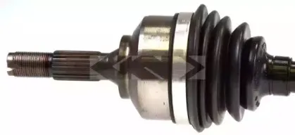 spidan-24254